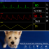 TG0412 Veterinary icu ventilator of blood pressure Bluetooth patient monitor, VET patient monitor