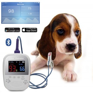 TG0413 Animal Bluetooth pulse Oximeter