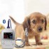 TG0413 Animal Bluetooth pulse Oximeter