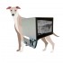 TG0475 Pet X-ray Machine, Veterinary X-ray Machine, Portable X-ray Machine