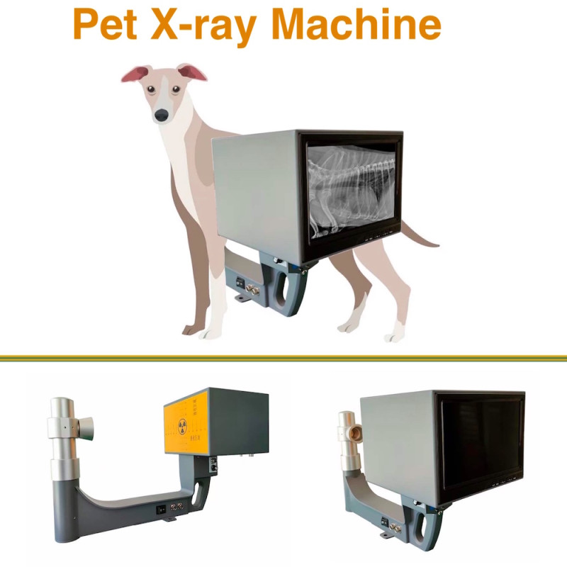 TG0475 Pet X-ray Machine, Veterinary X-ray Machine, Portable X-ray