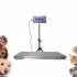 TG0497 Pet scale, pet weight scale, 300kg, Animal Electronic Weighing Platform Scale for Pet Hospital