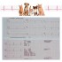 TG0506 Veterinary ECG machine, Pet 3-channel electrocardiograph, Animal Electrocardiograph