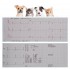 TG0506 Veterinary ECG machine, Pet 3-channel electrocardiograph, Animal Electrocardiograph