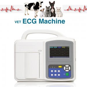 TG0506 Veterinary ECG machine, Pet 3-channel electrocardiograph, Animal Electrocardiograph