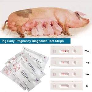 TG0510 Pig early pregnancy diagnostic test strip