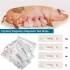 TG0510 Pig early pregnancy diagnostic test strip