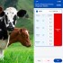 TG0511 Bovine Pregnancy Primary Diagnosis App, Cow Early Pregnancy Diagnosis System TG0511 Bovine Pregnancy Primary Diagnosis App, Cow Early Pregnancy Diagnosis System
