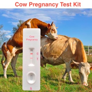 TG0513B  cow pregnancy test kit
